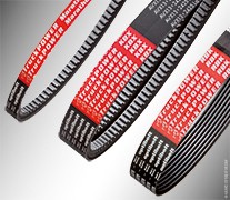 Drive belt for transport cooling CP10581